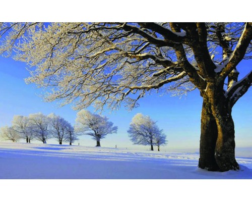 Desk Calendar DC21